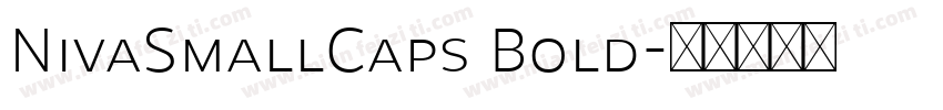 NivaSmallCaps Bold字体转换